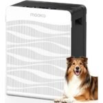 air purifier performance review