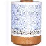 bluehills humidifier review summary