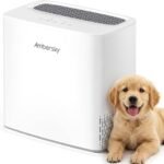 breathe easier with ambersky
