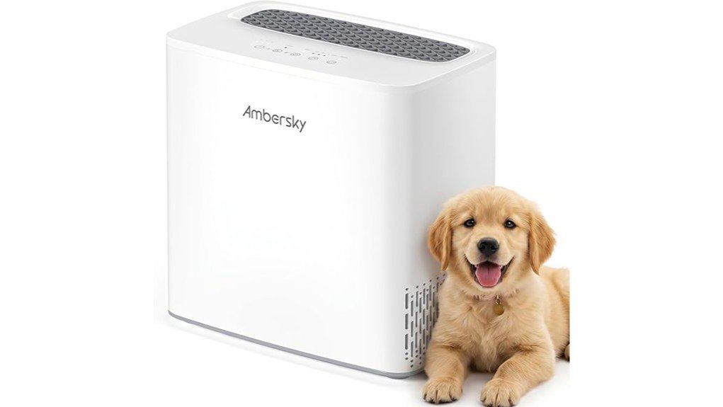 breathe easier with ambersky