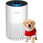 cobectal air purifier review