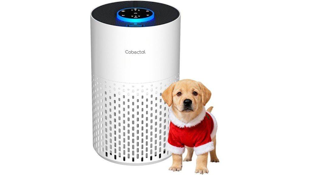 cobectal air purifier review