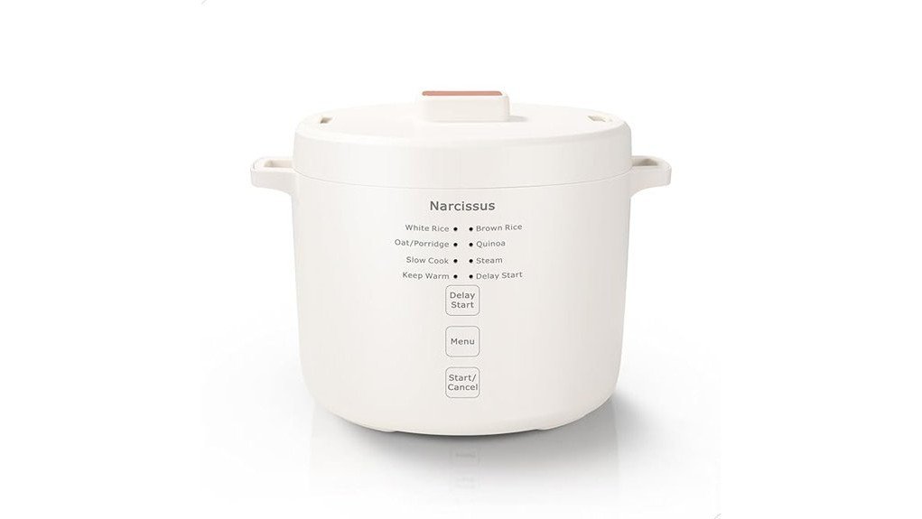 compact and efficient cooker