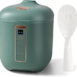 compact and efficient cooker