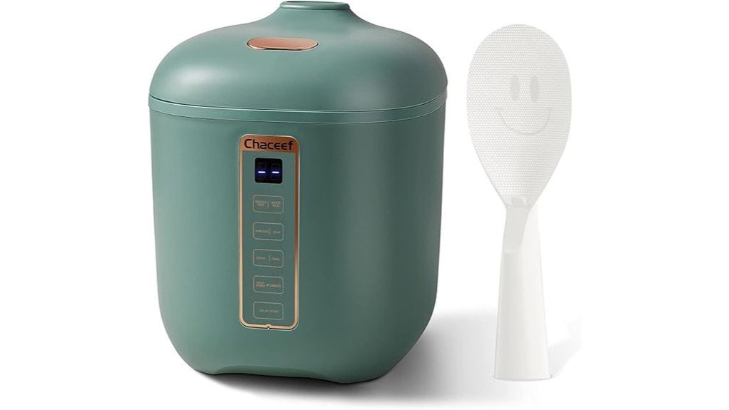 compact and efficient cooker