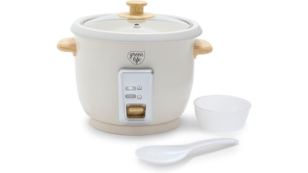 compact and efficient cooking