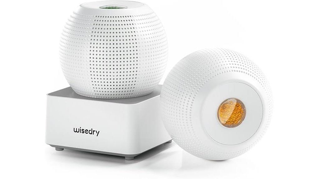 compact dual dehumidifier set