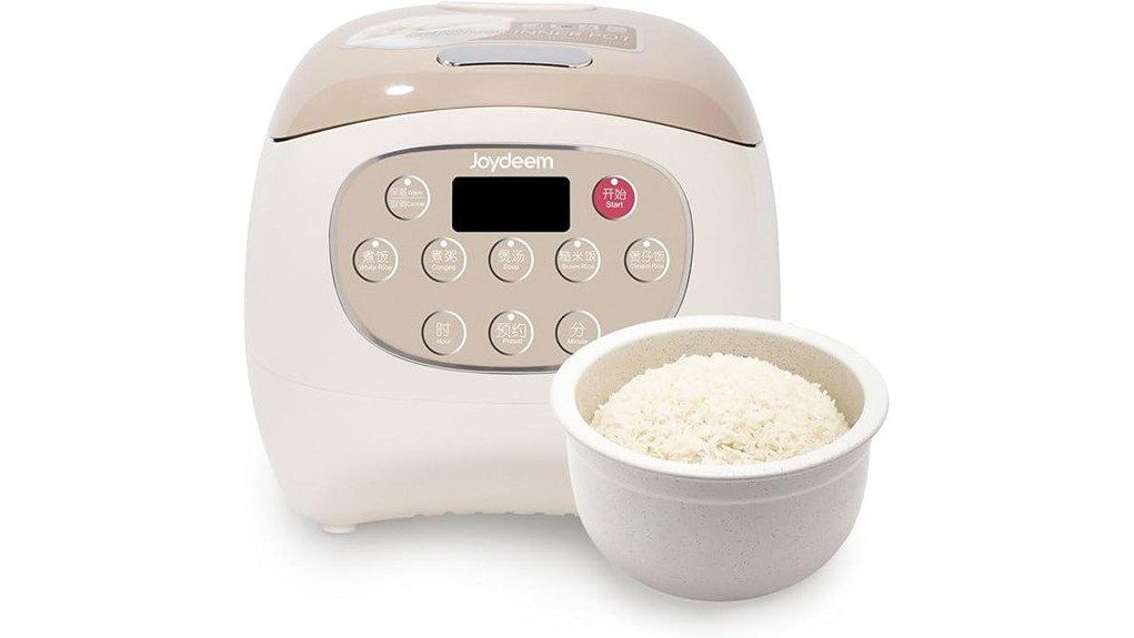 compact efficient rice cooker