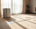 dehumidifier accelerates carpet drying
