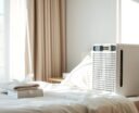 dehumidifier allergy relief guide