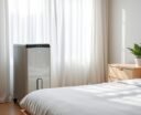 dehumidifier benefits for bedrooms