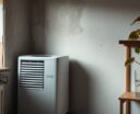 dehumidifier health home risks