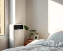 dehumidifier or air purifier
