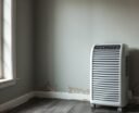 dehumidifier reduces mold growth