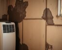 dehumidifier slows mold growth