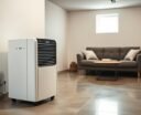 dehumidifiers for basement asthma
