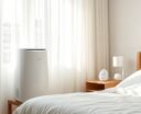 dehumidifiers for sensitive individuals