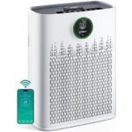 ecoself air purifier review