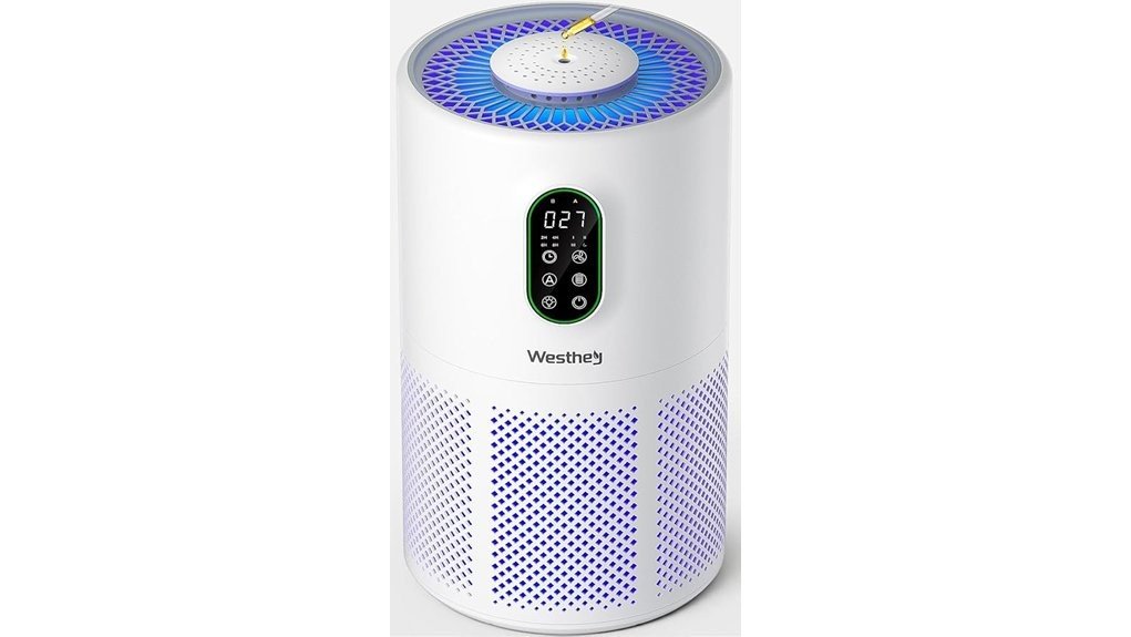 effective air purification solution