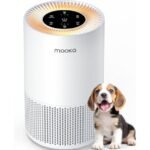 effective air purification solution
