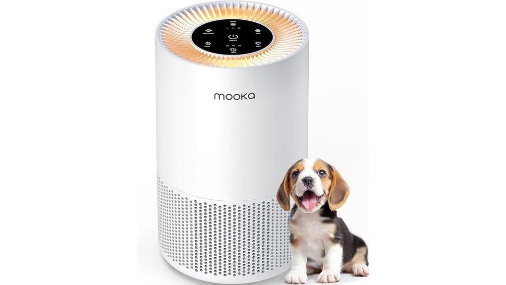 effective air purification solution