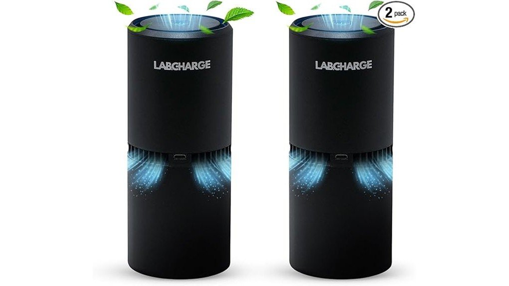 effective air purification solution