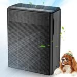 effective air purification solution