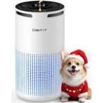 effective air purification solution