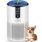 effective air purification solution
