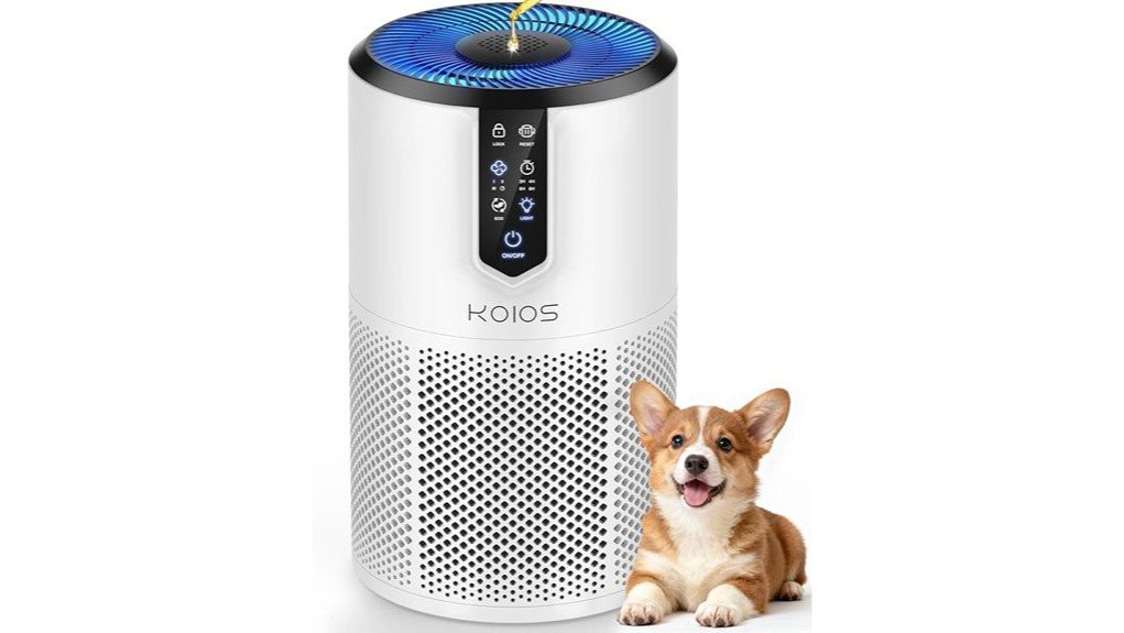 effective air purification solution