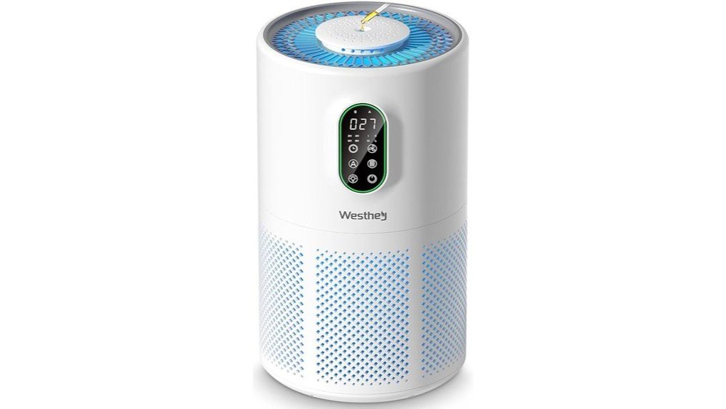 effective air purification solution