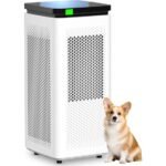 effective air purification solution
