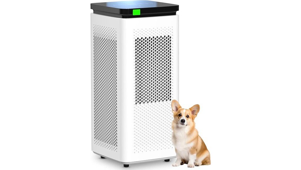effective air purification solution