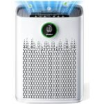 effective air purification solution