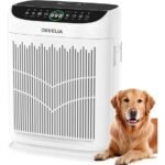 effective air purification solution