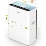 efficient and quiet purification