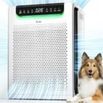 efficient and quiet purifier