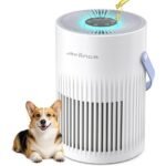 efficient home air purification
