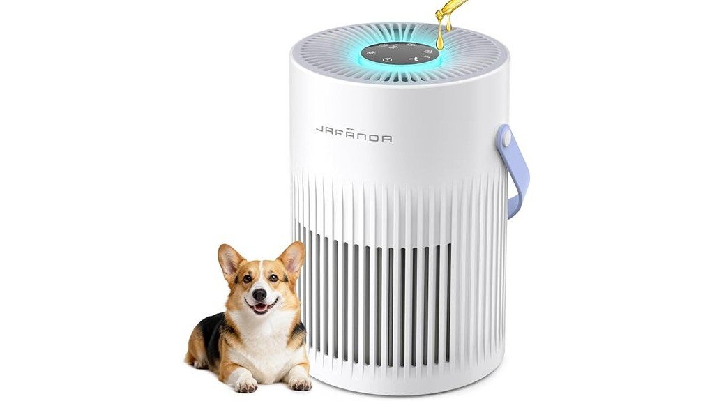 efficient home air purification