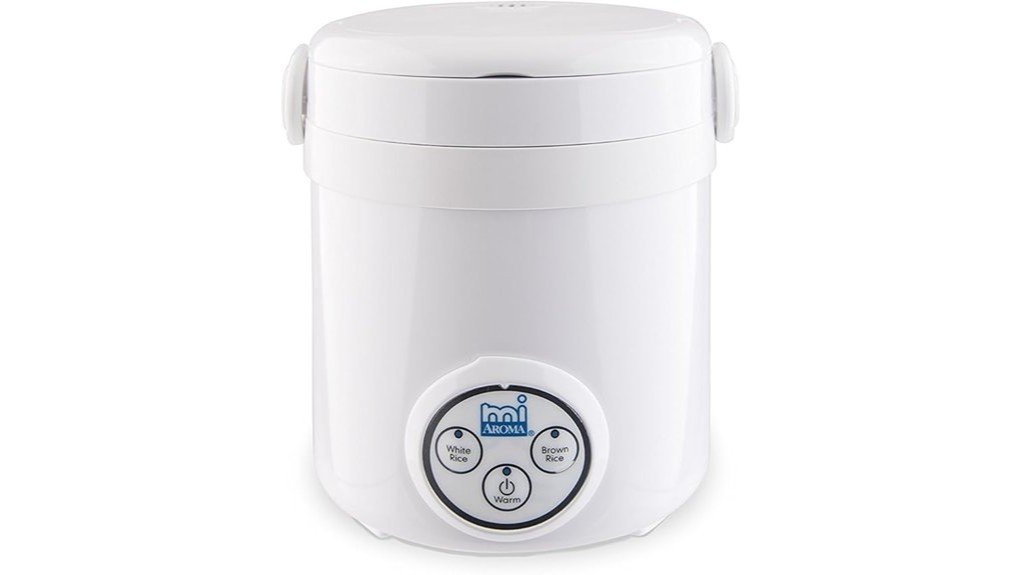 efficient rice cooking appliance