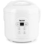 efficient rice cooking appliance