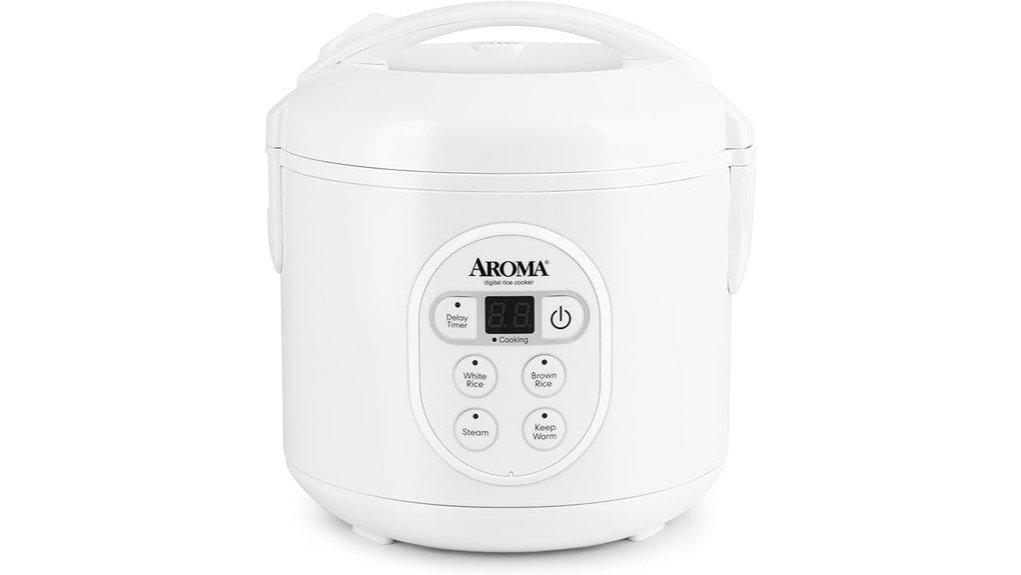 efficient rice cooking appliance