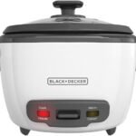 efficient rice cooking appliance