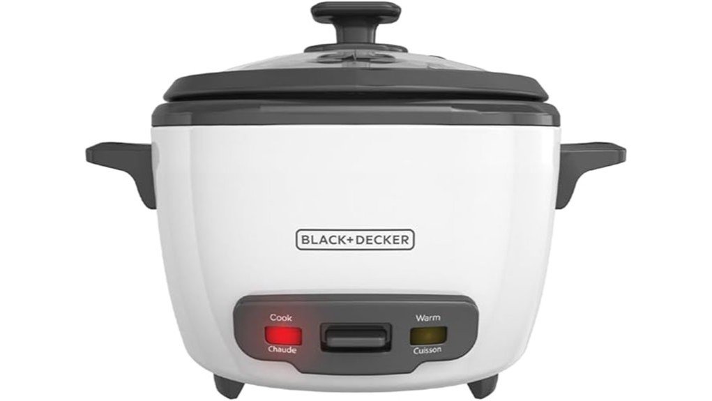 efficient rice cooking appliance