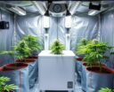 grow tent dehumidifier size