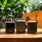 guitar dehumidifiers for protection