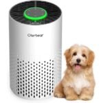 h14 hepa air purifier efficiency