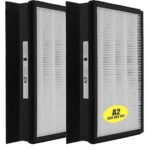 hepa a2 filter review