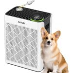 home air purifier insights