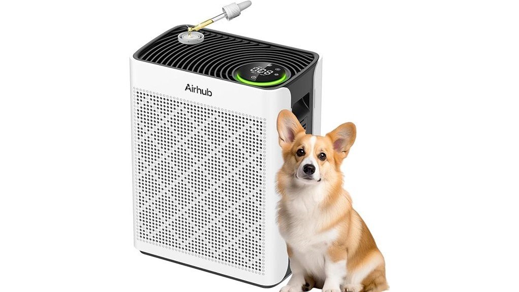 home air purifier insights
